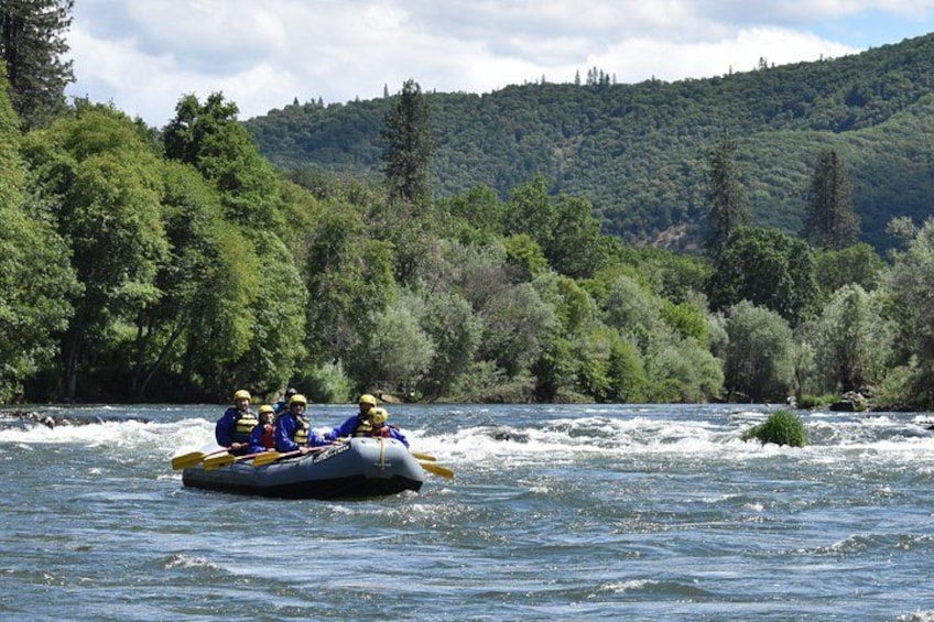 Un groupe de personnes fait du rafting sur une rivière bordée d’une forêt dense. 5
