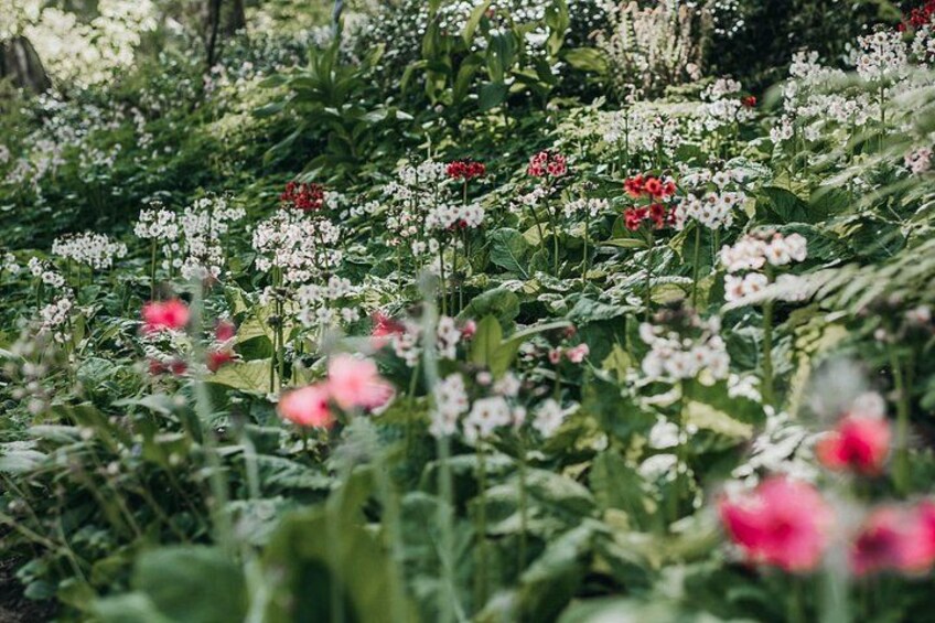 The Bloedel Reserve & Sightseeing 2