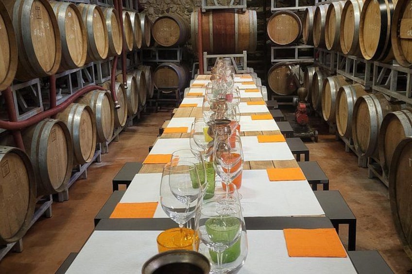Wine Tasting in Historical Center of Lazise 2