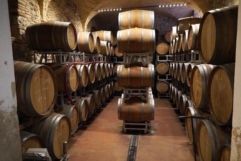 Wine Tasting in Historical Center of Lazise 3