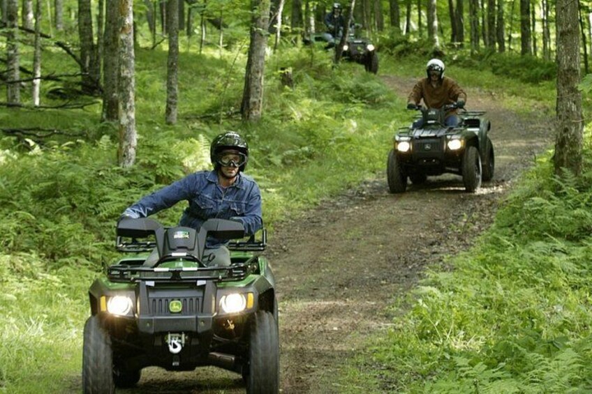 Two people riding ATVs on a forest trail. 5