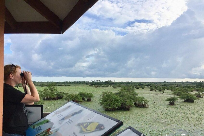 En person benytter sig af kikkert, kort og guidebog med udsigt over et savannelandskab med spredte træer og en overskyet himmel. 3