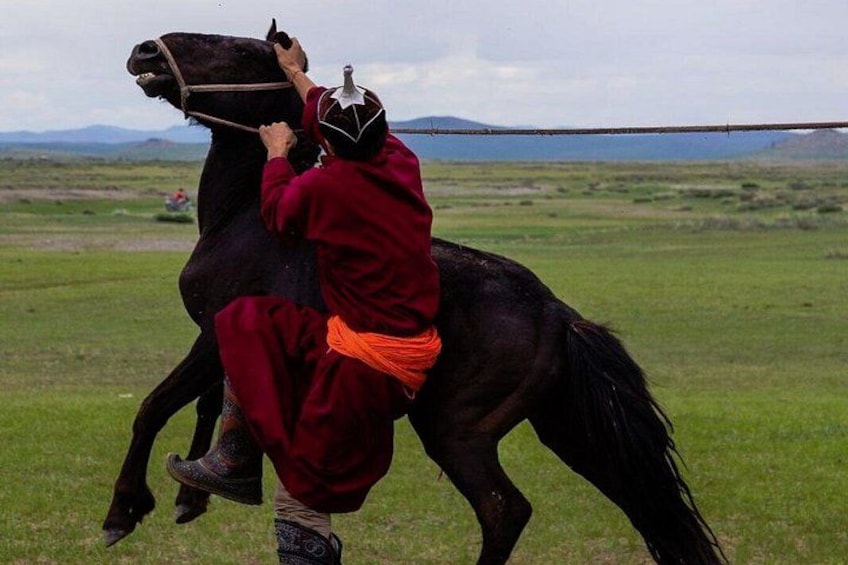 A person in traditional attire riding a horse in a grassy field with mountains in the background. 4
