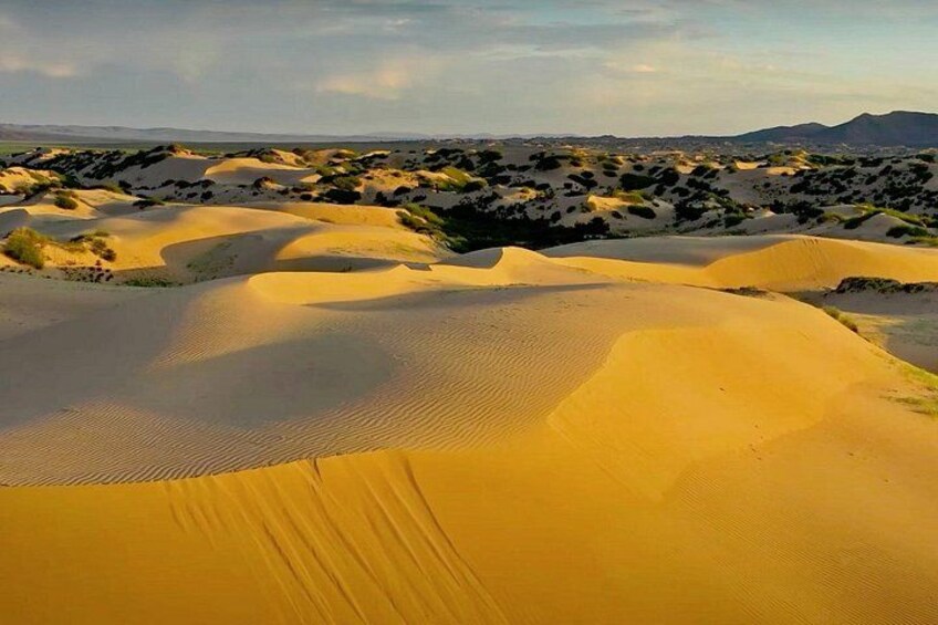Sand dunes with sparse vegetation in a desert landscape. 5