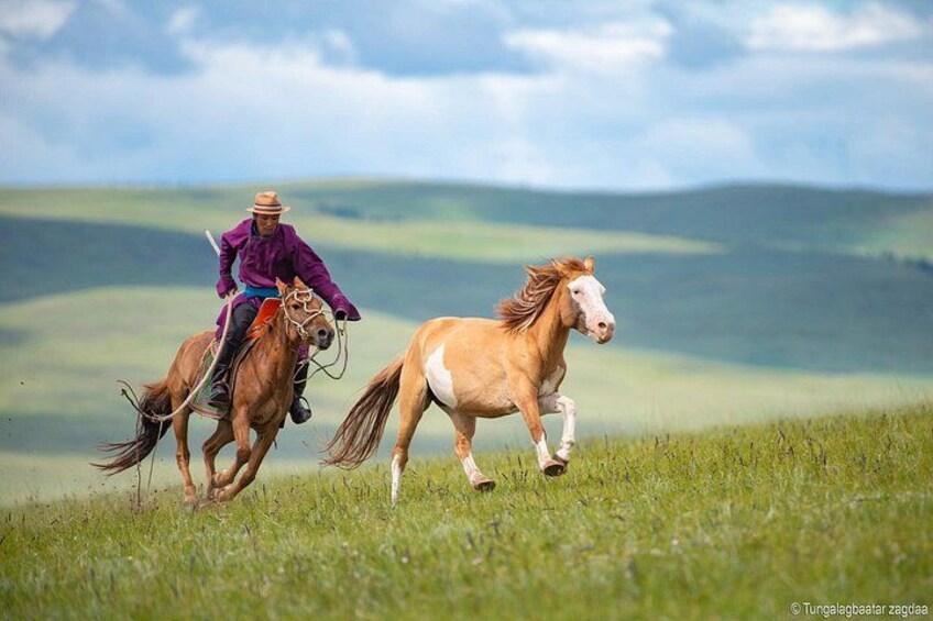 A person riding a brown horse in a grassy field with rolling hills in the background. 4