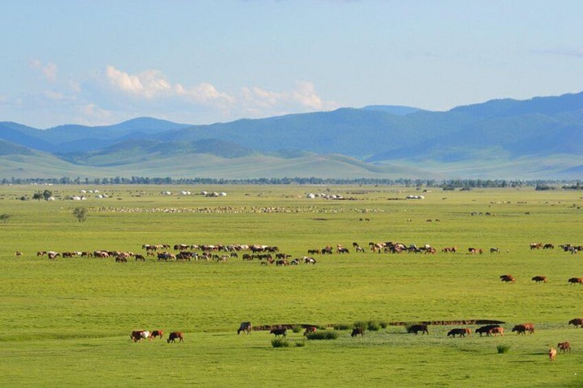 Essence of Mongolia 4 Days 4