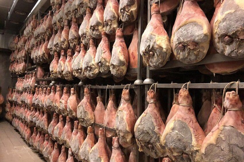 ModenaTasting: Prosciutto,Parmigiano,Balsamic,Wine,Transport 1