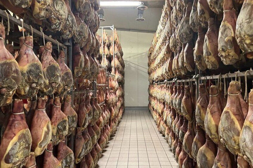 A storage room with rows of hanging cured meats. 4