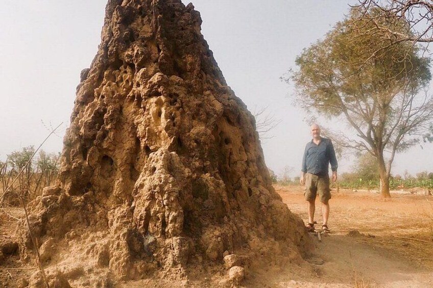 Wassadou, Niokolo Koba, Dindefello Falls Safari 4 Days 3 Nights 3