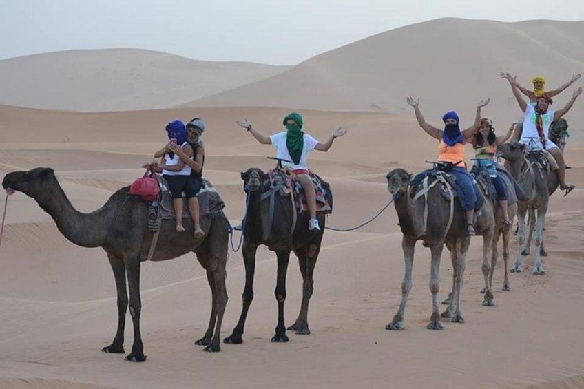 Camel ride in the desert 5