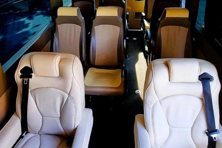 11 Passenger Luxury Bus 1