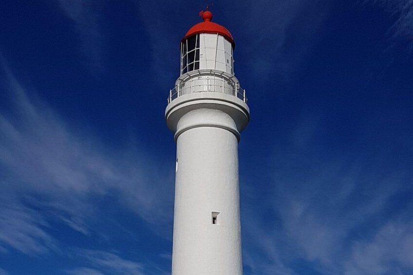 Luxury Private & Customised Great Ocean Road Tour from Melbourne 4
