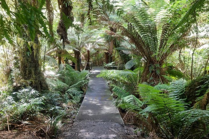 Luxury Private & Customised Great Ocean Road Tour from Melbourne 5