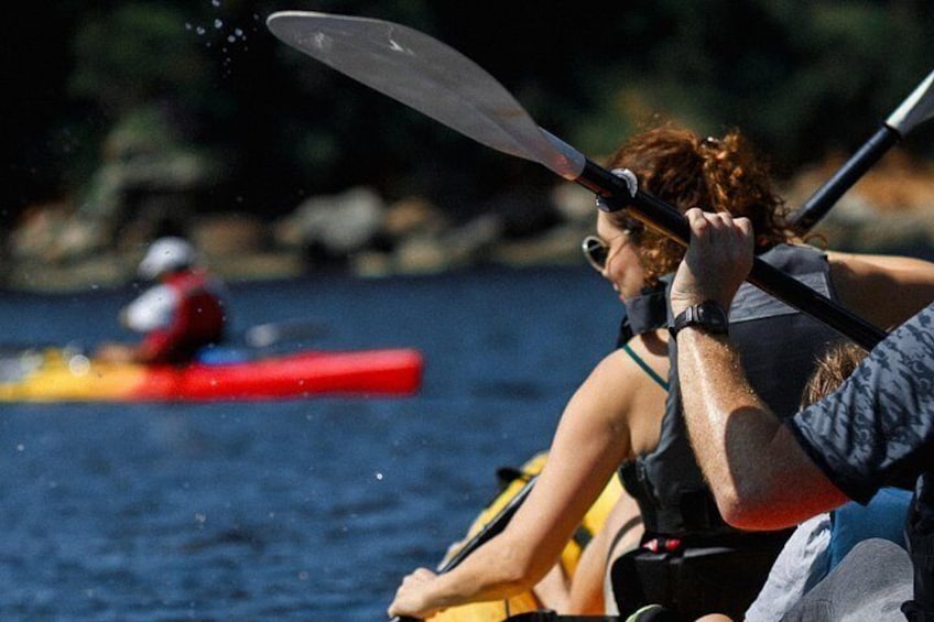Budva Bay Kayak & SUP Tour to Coastal Caves – close‑up of a kayak paddle slicing through water at Budva Bay, Montenegro 5