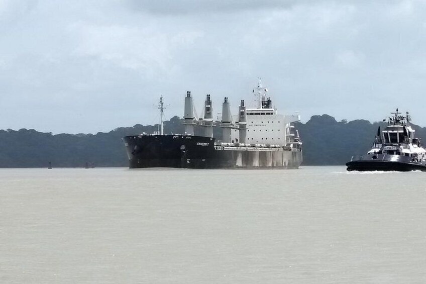 Gatun Expedition Monkey island Tour (private, min 2 pax) 5