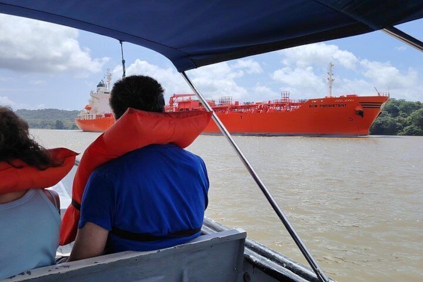 Gatun Expedition Monkey island Tour (private, min 2 pax) 4