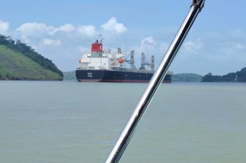Un grand navire de transport de marchandises navigue sur une eau calme, avec une côte verdoyante en arrière-plan. 4