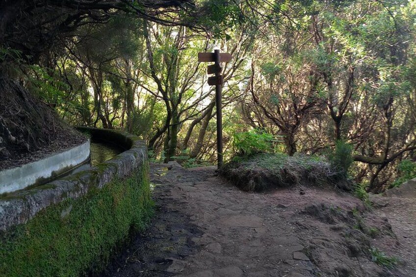 Une zone boisée avec un sentier de terre, une structure en pierre recouverte de mousse et un panneau indicateur en bois. 5