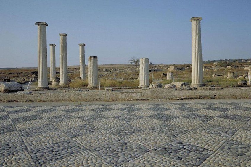 Private tour: Half Day Ancient Pella 1