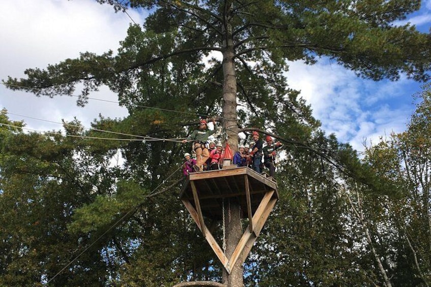 Tree platforms are in the mix as well. 2