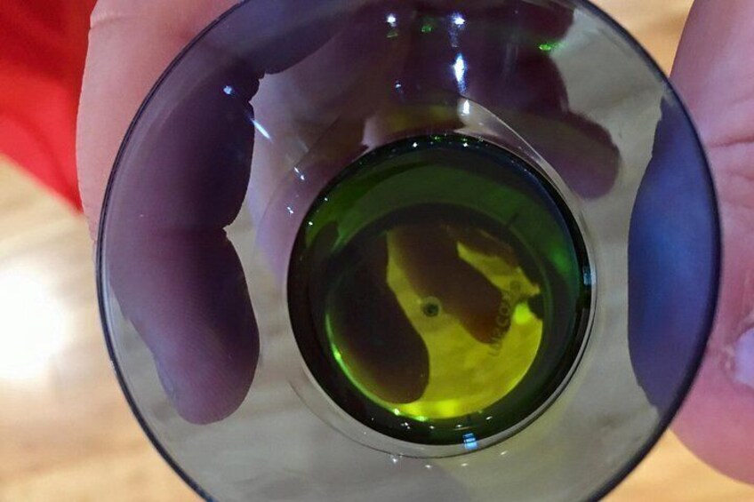EVOO 2