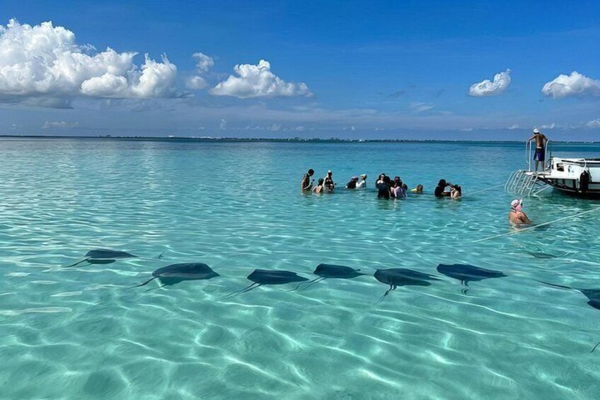 Agua turquesa cristalina, gente nadando y un bote con personas a bordo. 1