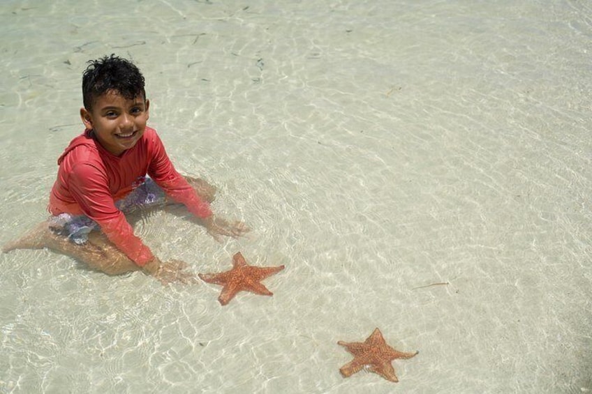 Fun Family 3 stops StingrayCity Adventure 2