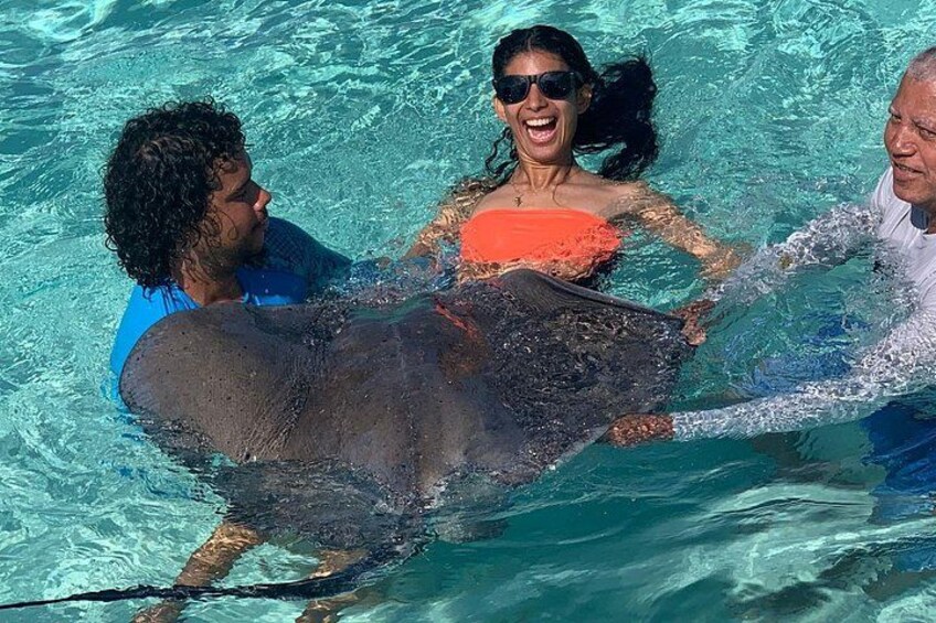 Enjoy the moment with the stingrays 4