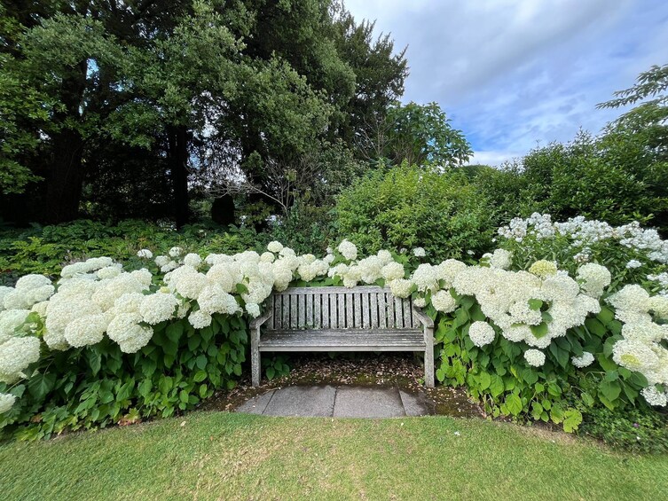 Downton Abbey Tour from London: Highclere Castle, Bampton & Oxford 2