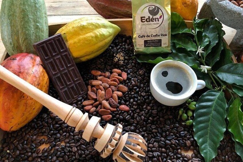 La Fortuna Guided Chocolate And Coffee Tour 1