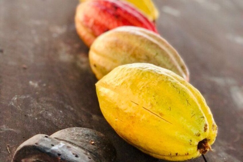 La Fortuna Guided Chocolate And Coffee Tour 3
