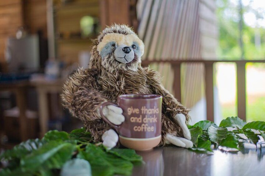 La Fortuna Guided Chocolate And Coffee Tour 3