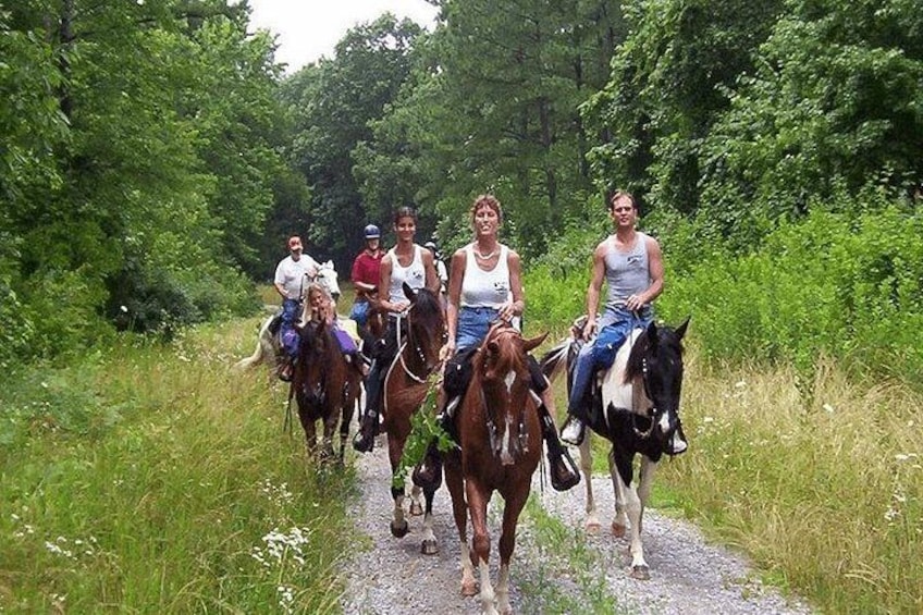 En gruppe mennesker rider på heste ad en grusvej omgivet af grønt. 4
