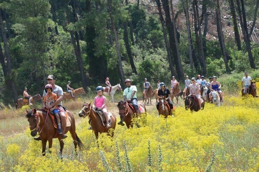 En gruppe mennesker rider på heste gennem en mark fyldt med gule blomster. 2