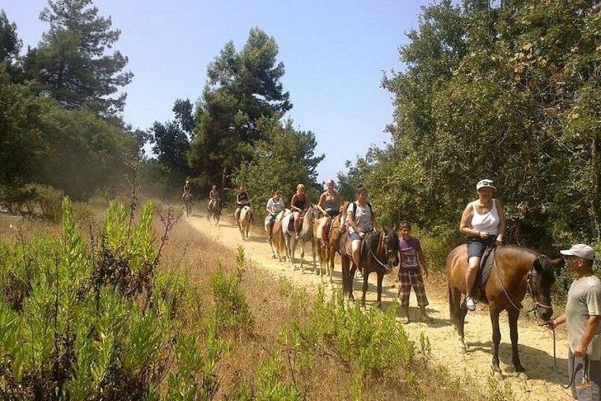 En gruppe mennesker rider på heste ad en støvet sti omgivet af frodig vegetation. 3