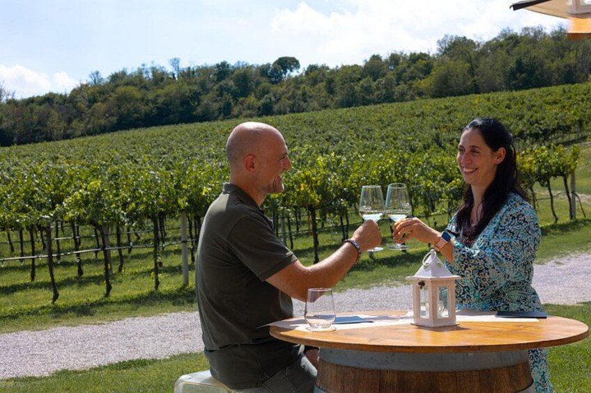 DA Padova: Wine tour in the Euganean Hills 1