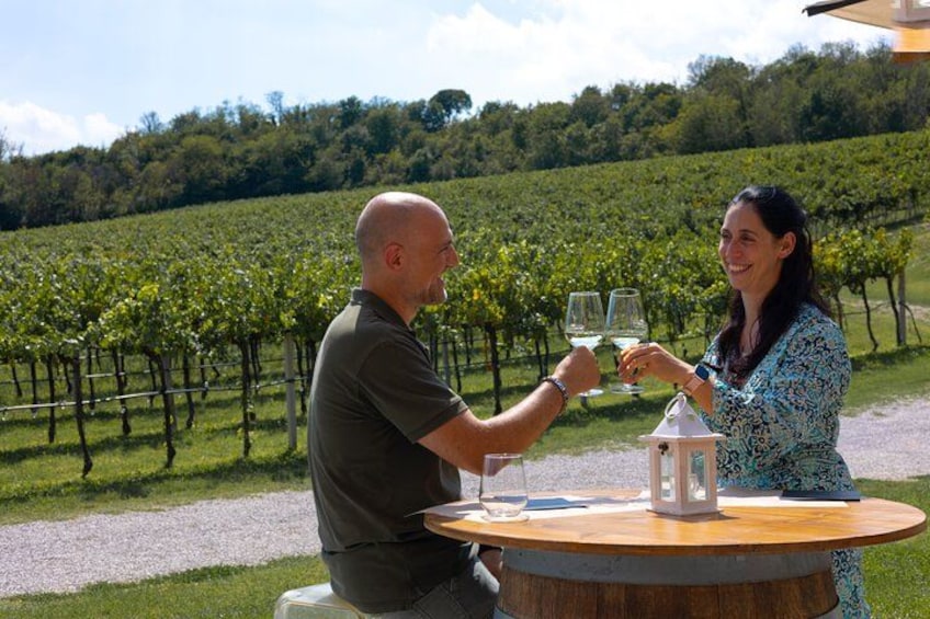 Deux personnes trinquent avec des verres de vin dans un vignoble. 1