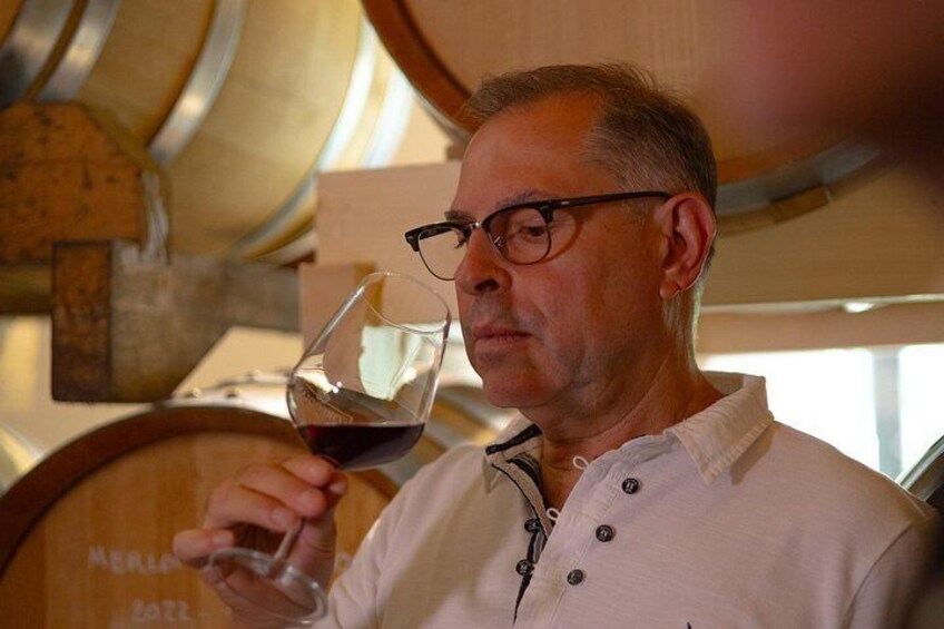 DA Padova: Wine tour in the Euganean Hills 2