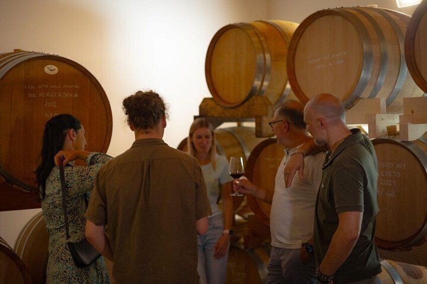 DA Padova: Wine tour in the Euganean Hills 3