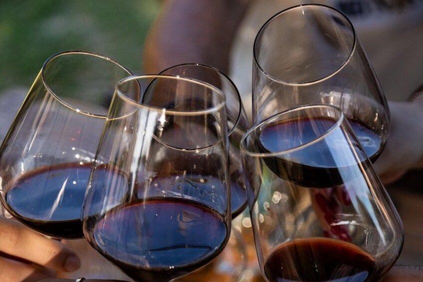 DA Padova: Wine tour in the Euganean Hills 2