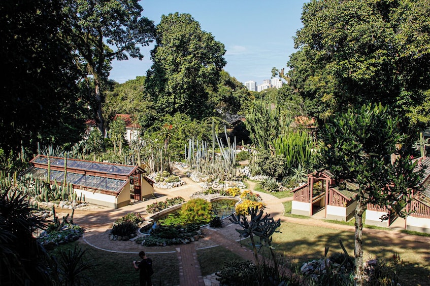 A botanical garden with various cacti and plants, a glasshouse, and a pathway. 4