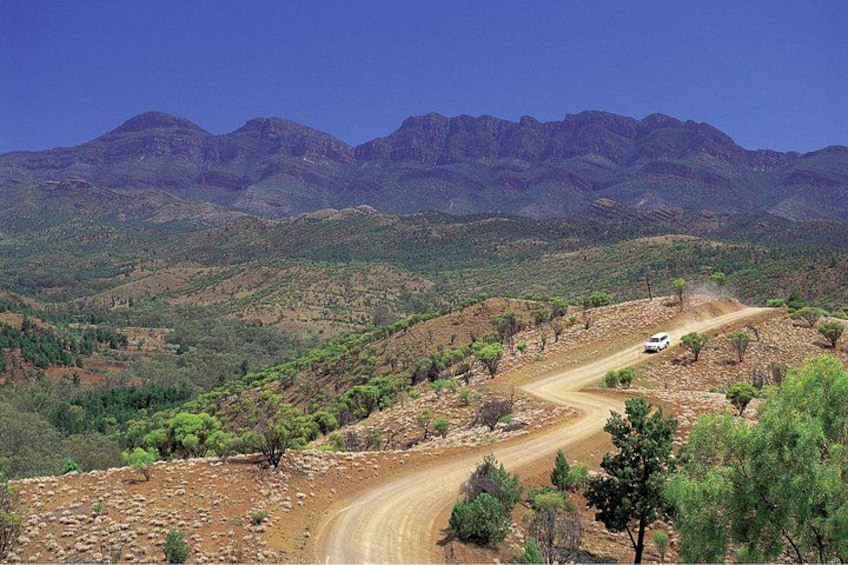 Flinders Ranges 3-Day Small Group 4WD Eco Tour from Adelaide 3