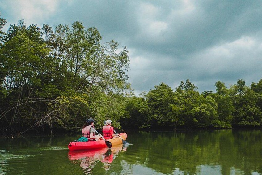 nature kayaking 2
