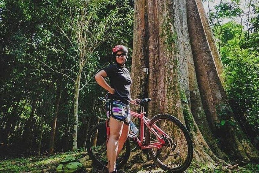 4 Hours Cycling in the Nature at Pulau Ubin Singapore 2