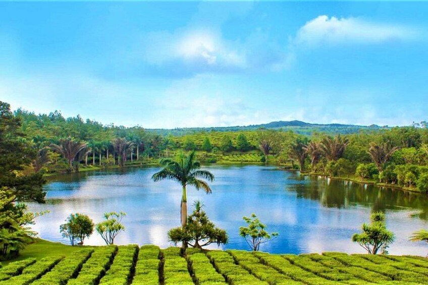 Tea tasting session on the plantation house 1