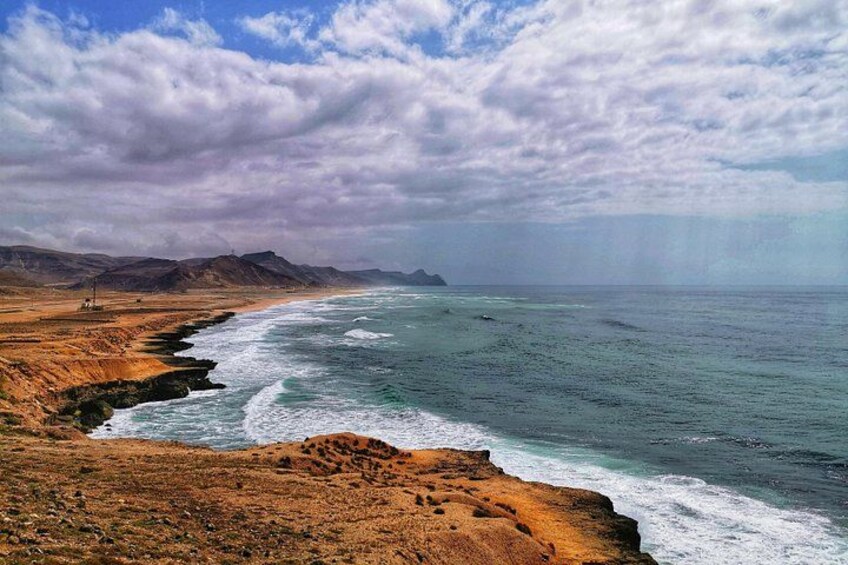 West Salalah, Al Mughsail Beach, White Beach, Frankincense Tree (Half day Tour) 5