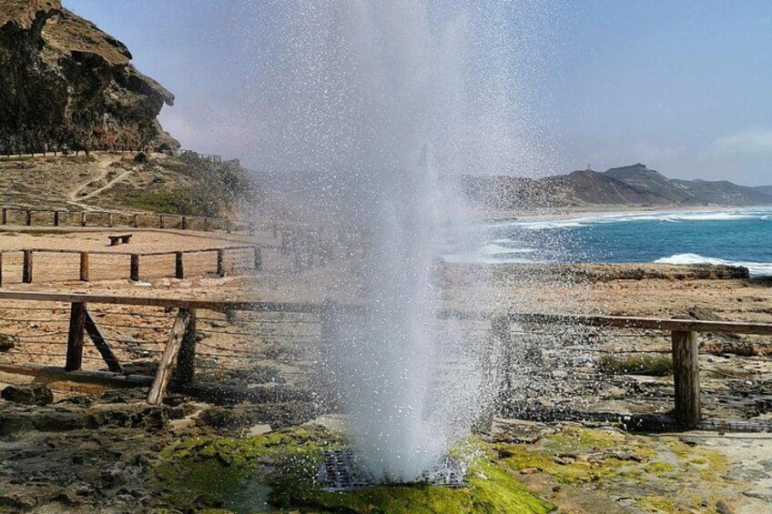 West Salalah, Al Mughsail Beach, White Beach, Frankincense Tree (Half day Tour) 1