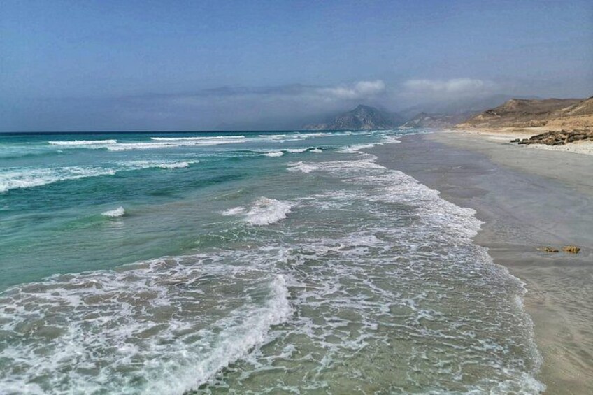 West Salalah, Al Mughsail Beach, White Beach, Frankincense Tree (Half day Tour) 4