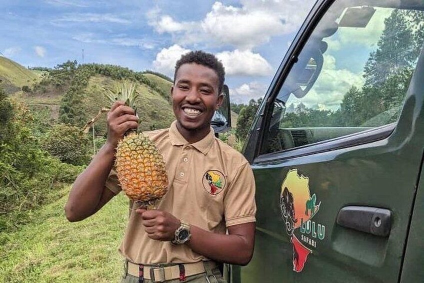A person holding a pineapple, standing next to a vehicle with a logo. 5