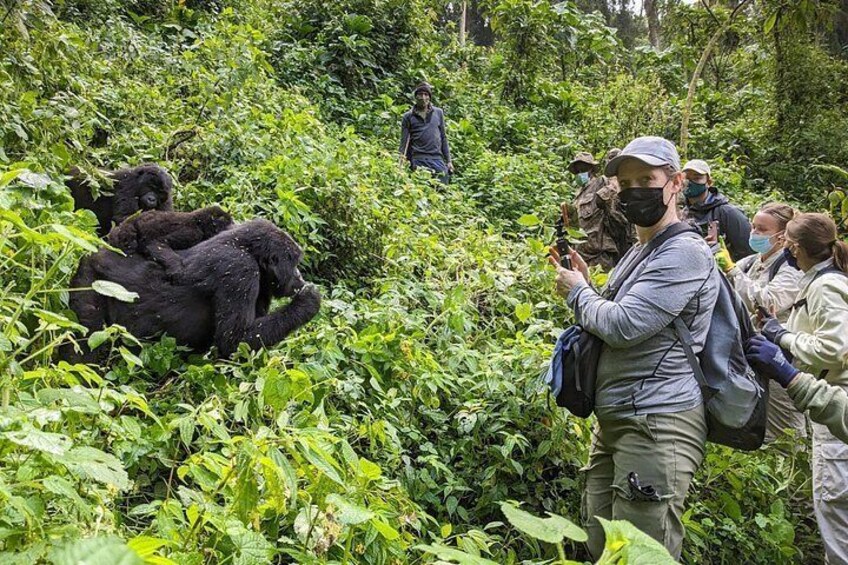 A group of people observing gorillas in a dense forest. 4